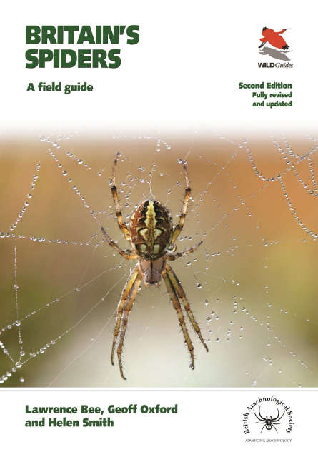 Britains Spiders