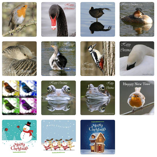 NatureSpot Christmas Cards