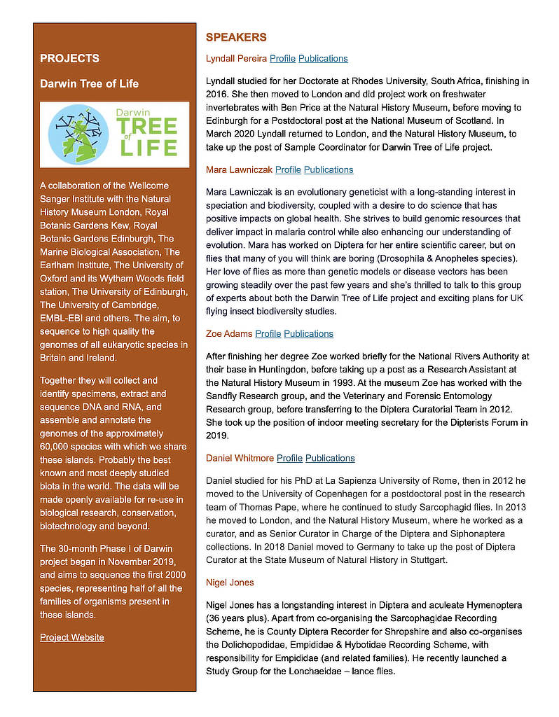 Flyer2