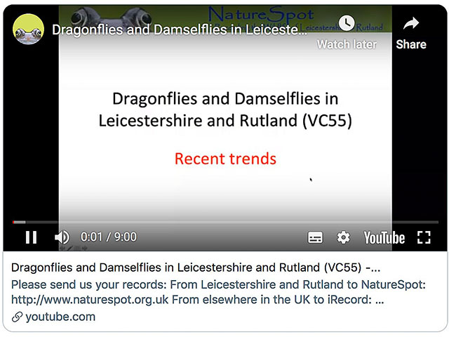 Dragonflies2 Video