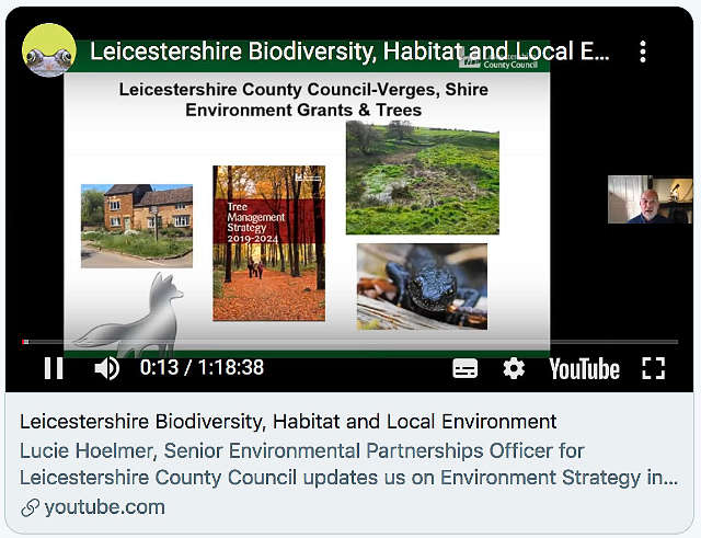 Environment Strategy