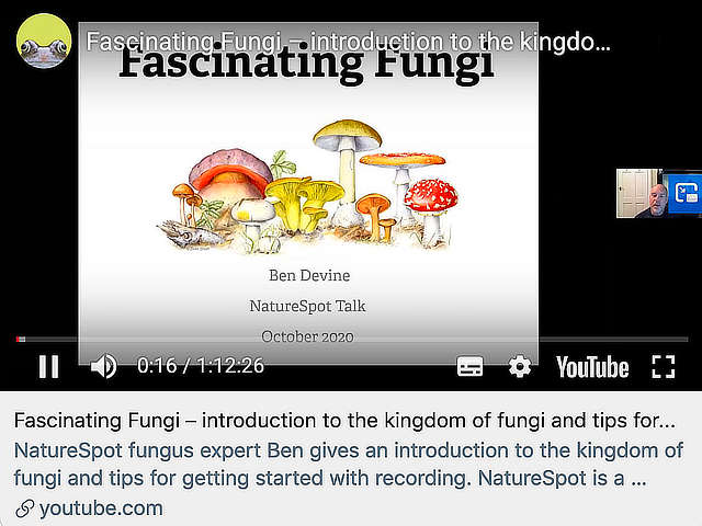 Fascinating Fungi