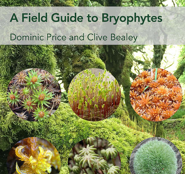 Field Guide to Bryophytes