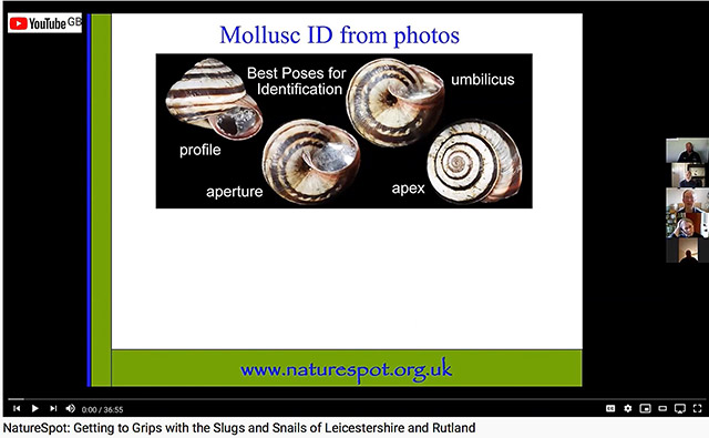 Getting to Grips with the Slugs and Snails of Leicestershire and Rutland