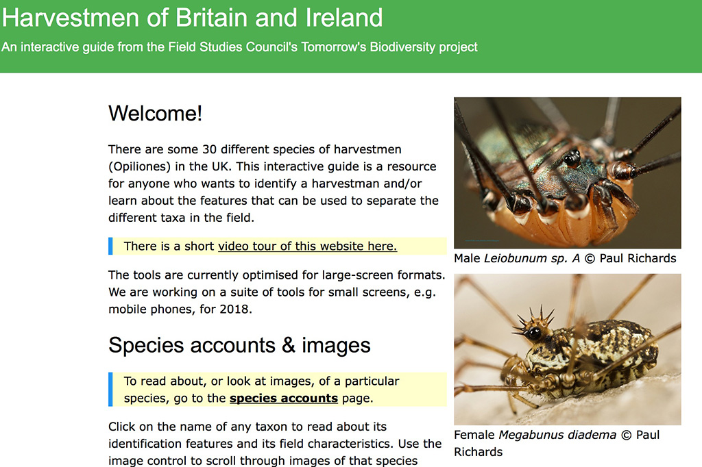 Harvestmen guide