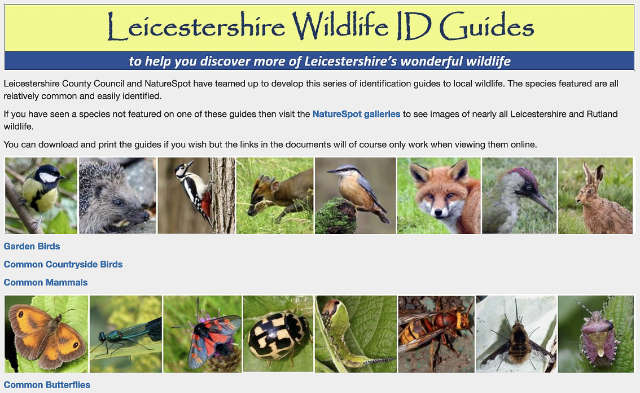 ID Guides