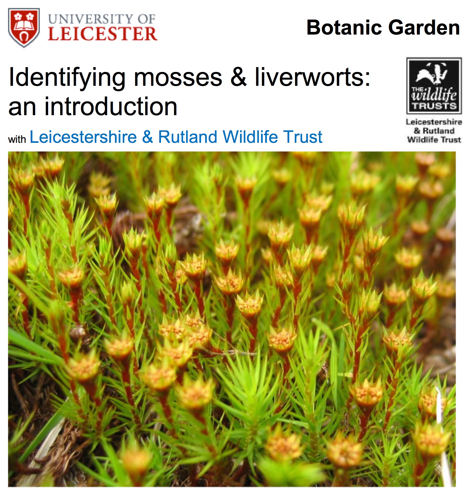 Identifying mosses & liverworts
