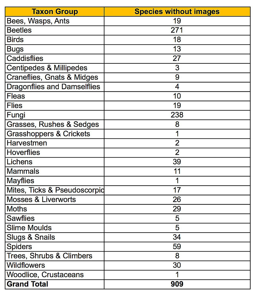 Images Needed