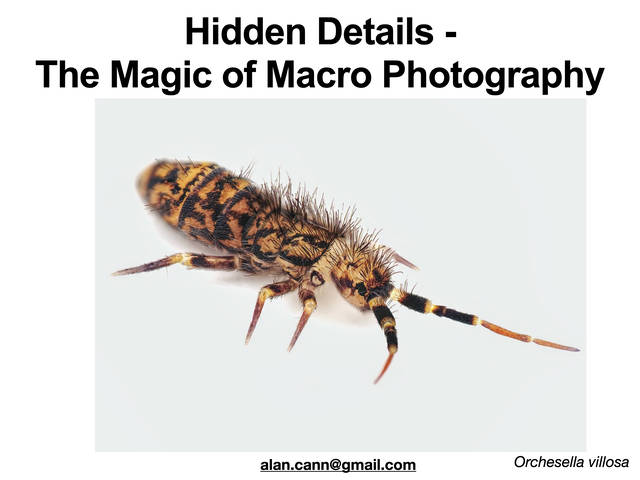 Macro Photography