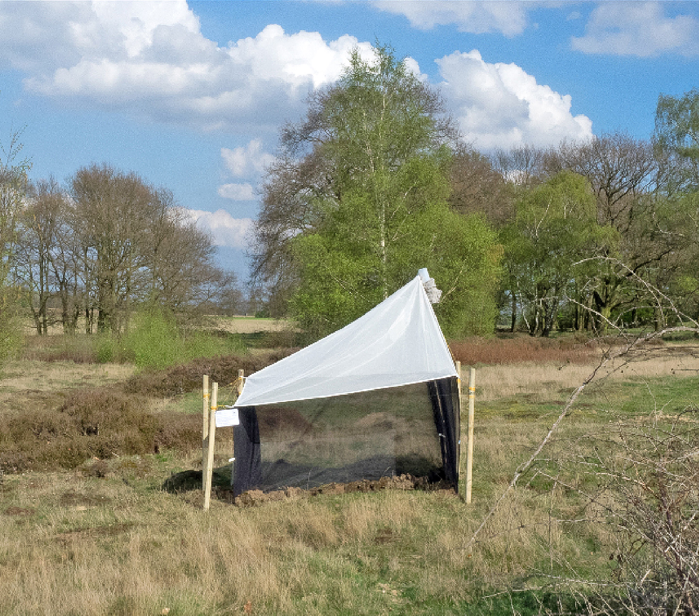 Malaise trap