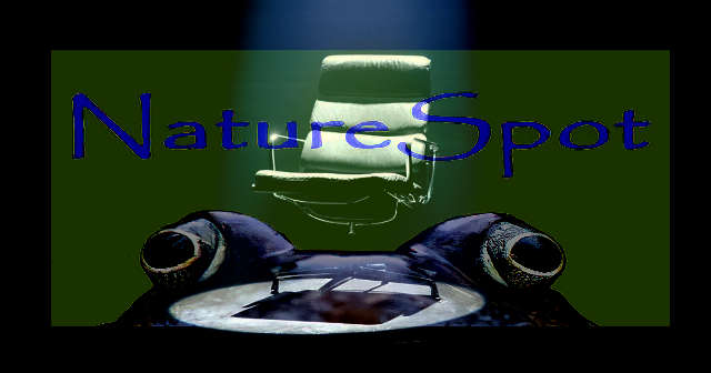 Mastermind