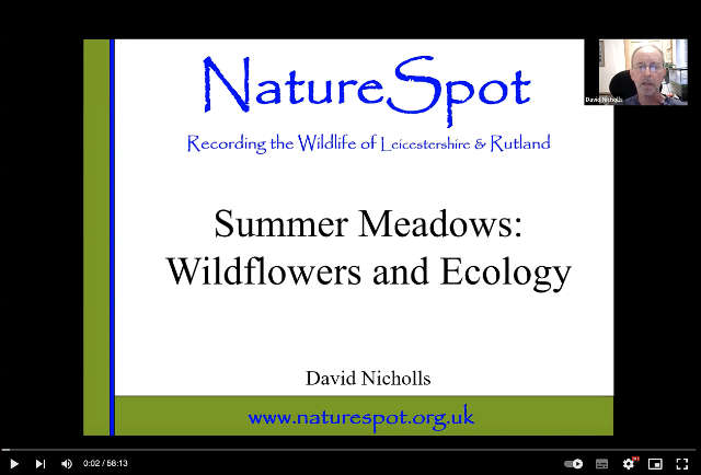 Meadows Video