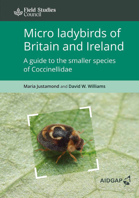 Micro ladybirds of Britain and Ireland