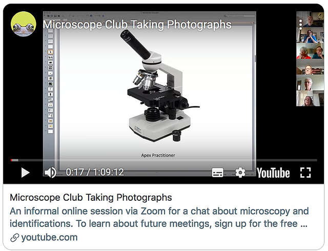 Microscope Club Taking Photographs
