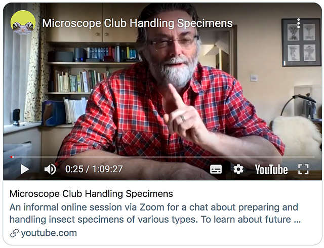 Microscope Club