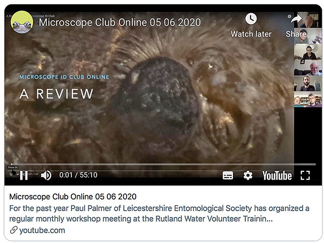 Microscope Club Online