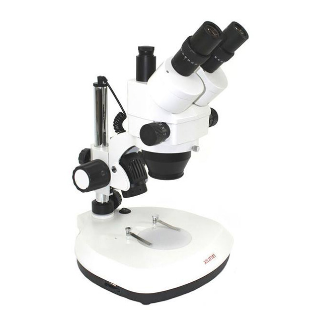 Microscope