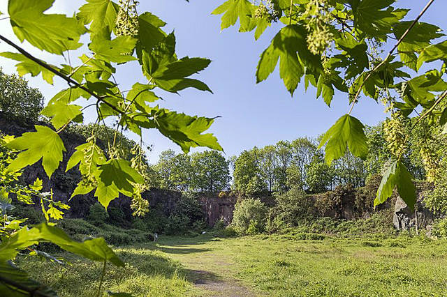 Morley Quarry