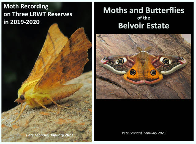 Moth Recording in the Vale of Belvoir