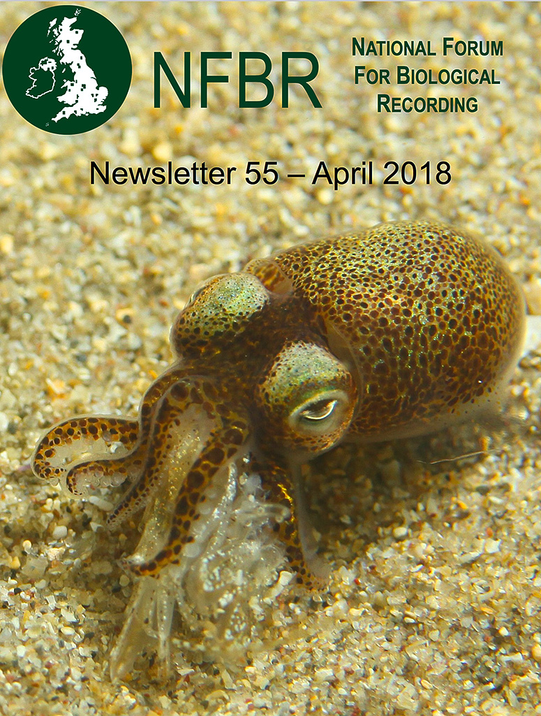 NFBR_Issue_55