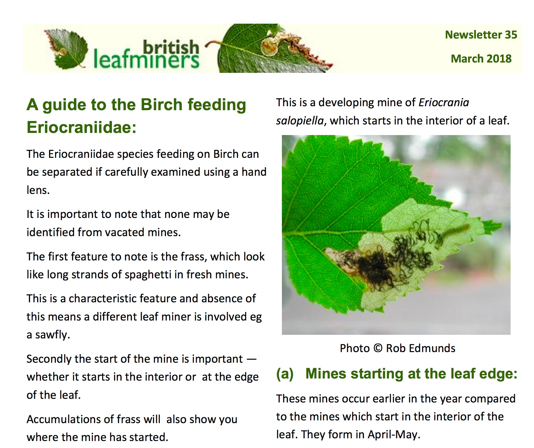 Newsletter
