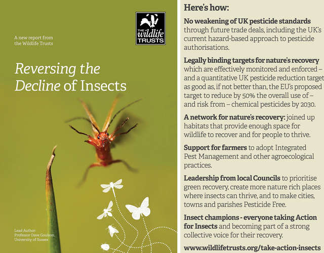 Reversing the decline of insects