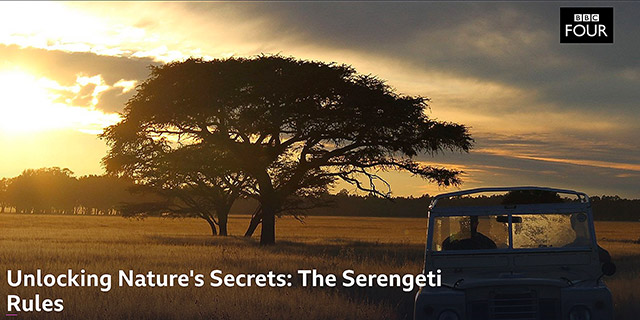 Serengeti Rules