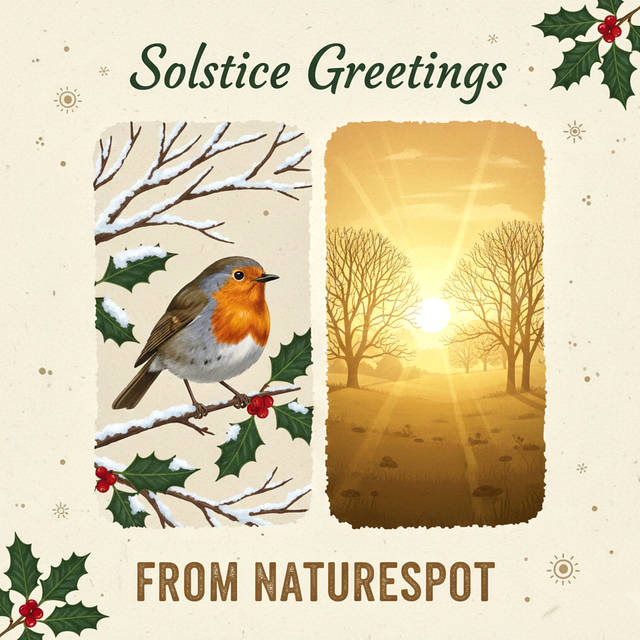 Solstice Greetings