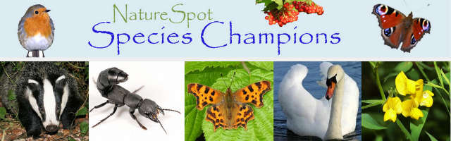 Species Champions