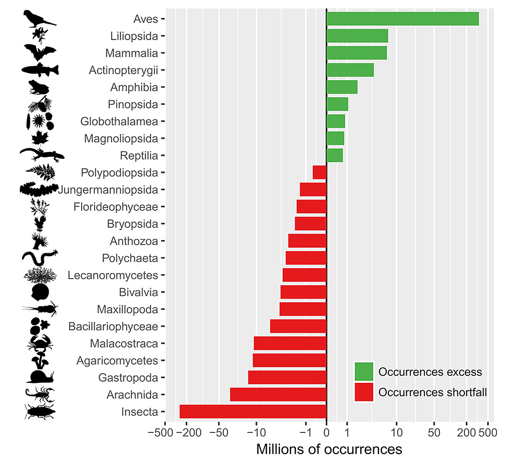 Taxonomic Shortfall