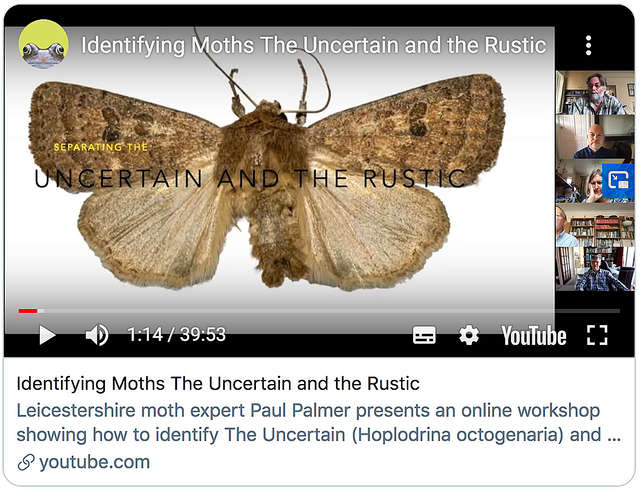 The Uncertain and the Rustic