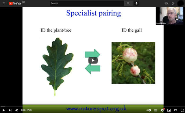 Trees and Galls