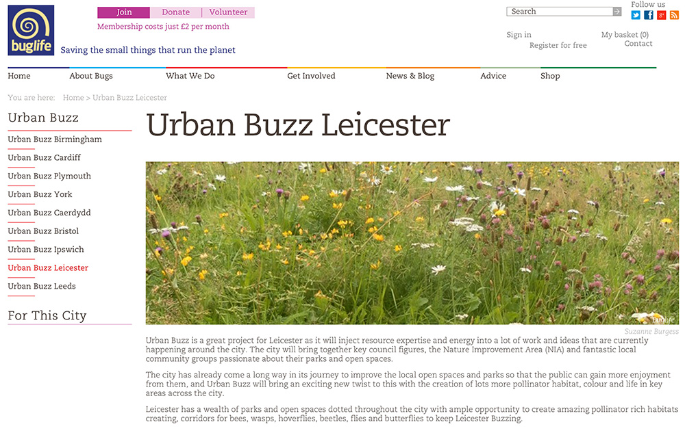 Urban Buzz Leicester