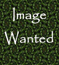 Image Wanted