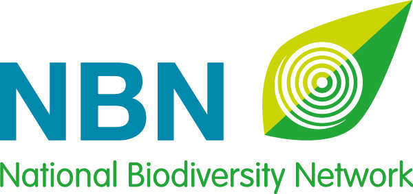 NBN Logo