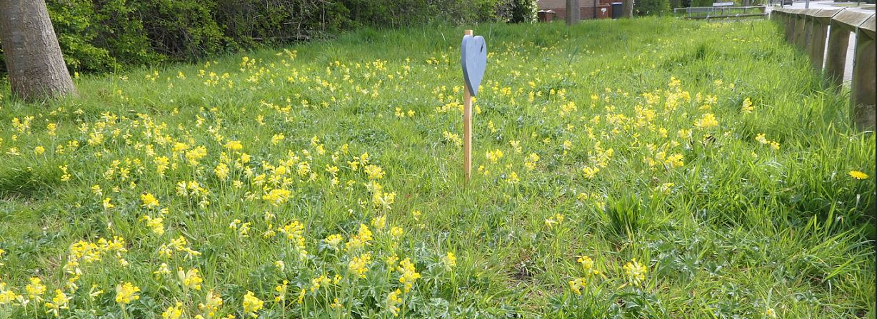 ratby verge