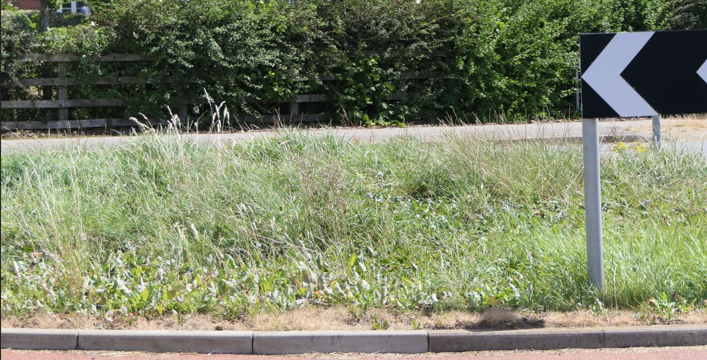 Kibworth, Wistow Road Roundabout Verge