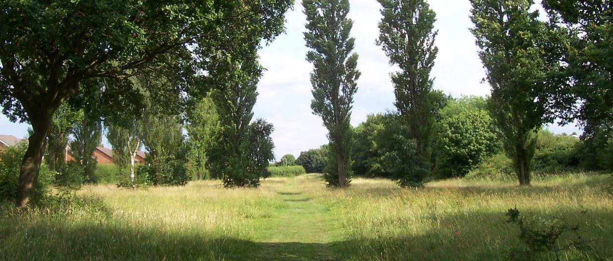 Kirby Frith LNR, Leicester