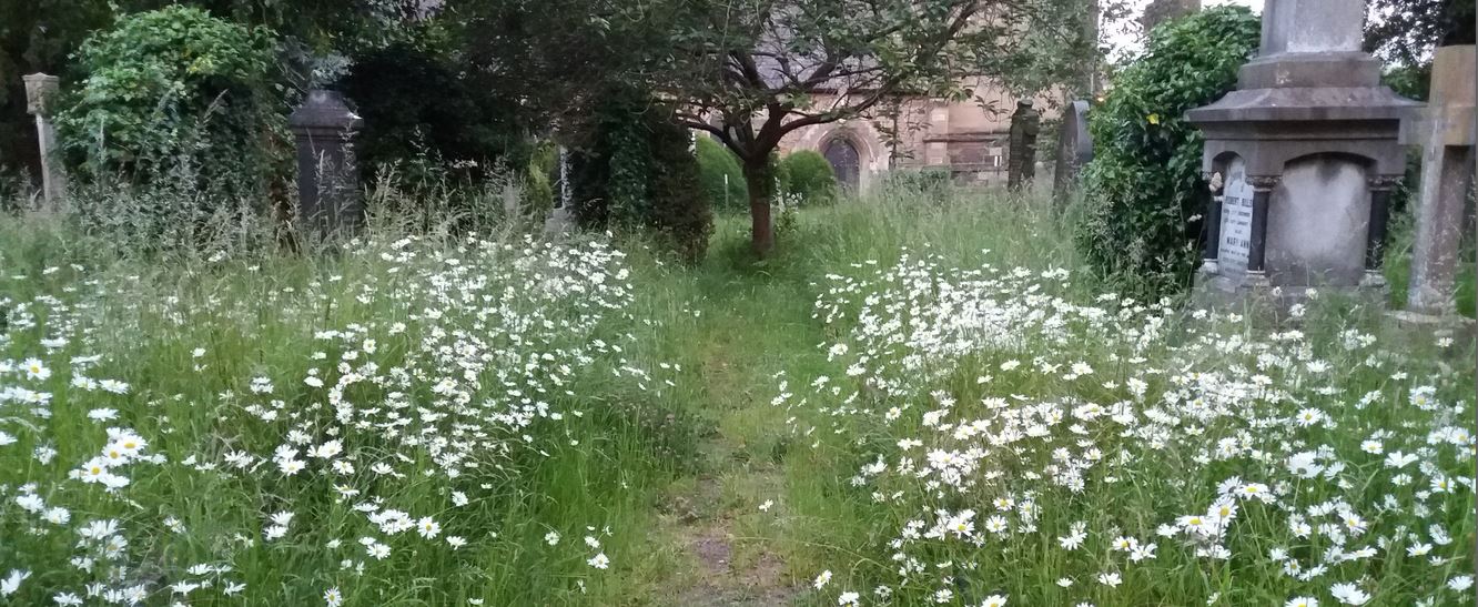 Knighton Green and St Mary Magdalen