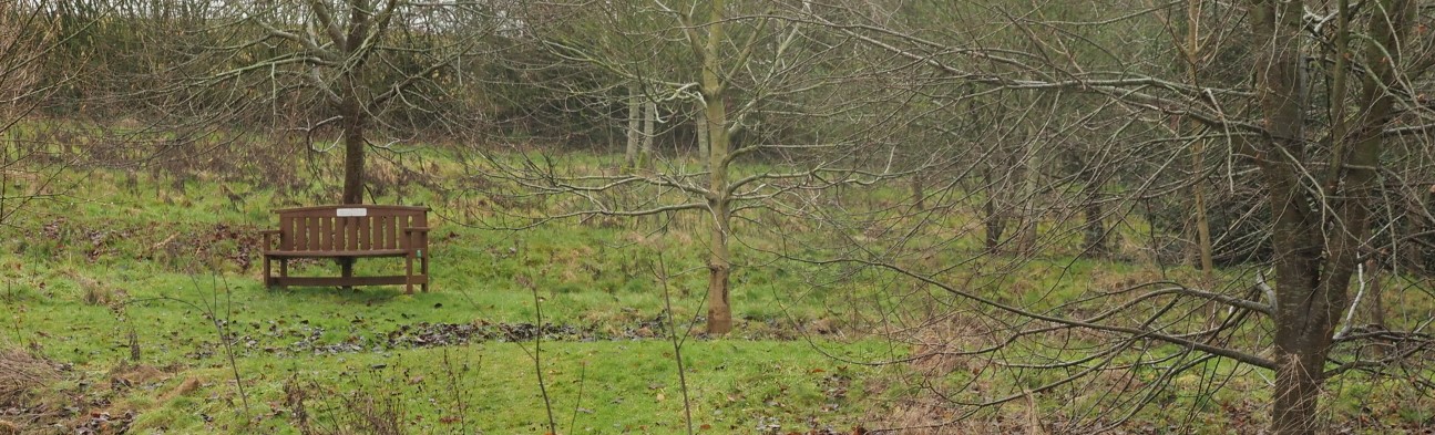 Husbands Bosworth Millenium Wood
