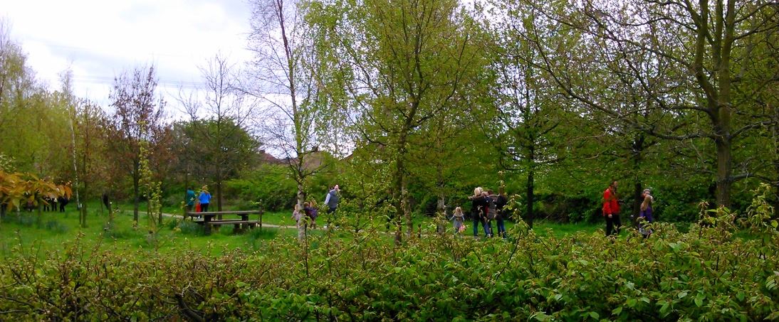 Glenfield Millennium Green