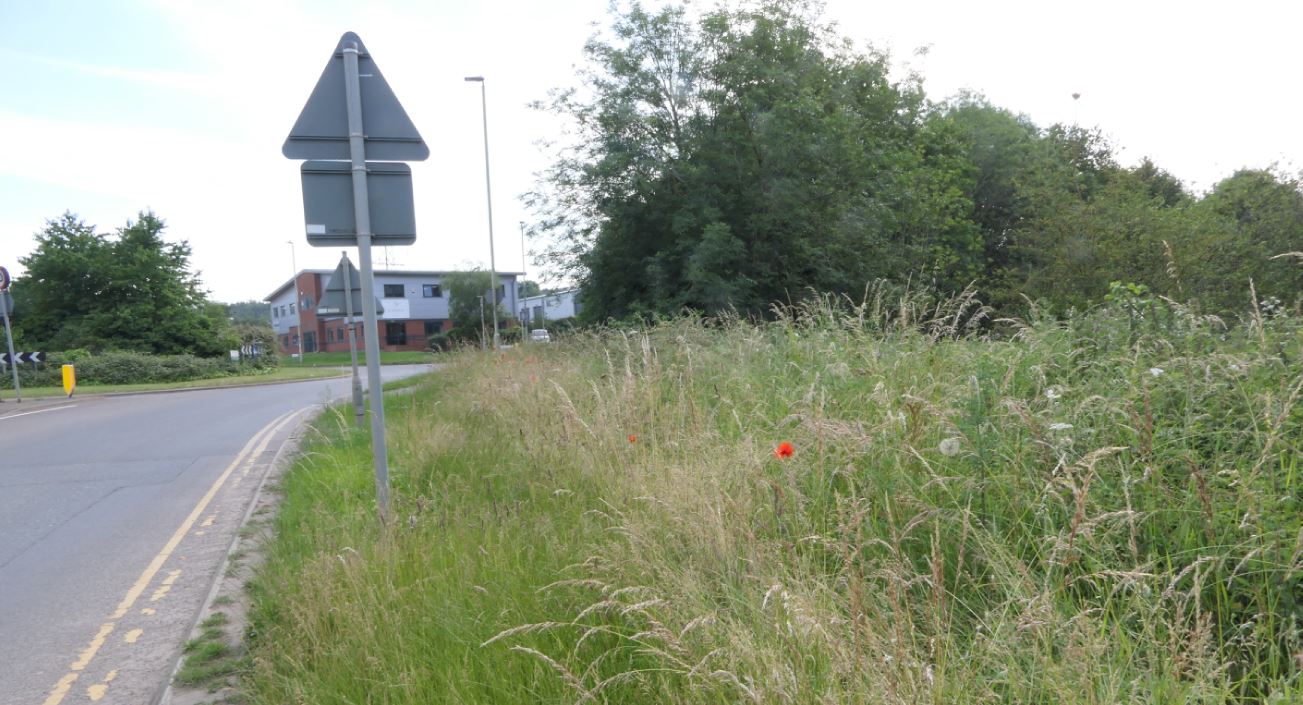 Mountsorrel Granite Way verge