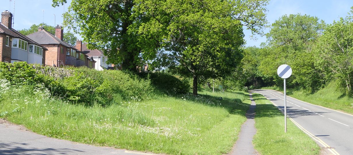 Newtown Linford, Markfield Lane verge