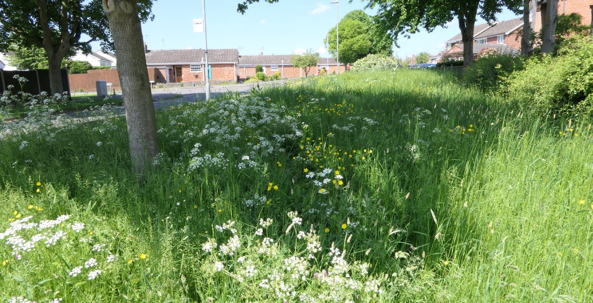 Ratby Ferndale Drive verge