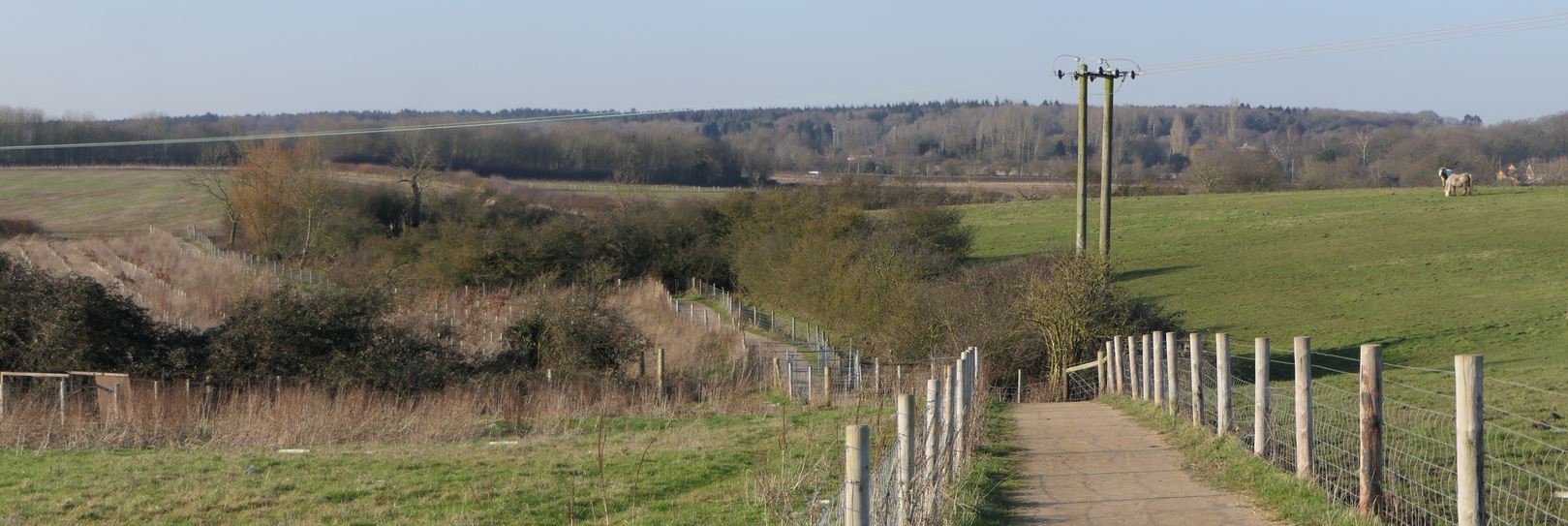 Glenfield, Roman Way