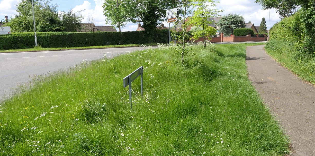 Scraptoft Rise verges