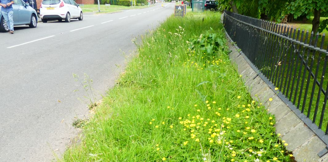 Sheepy Magna Twycross Rd verge