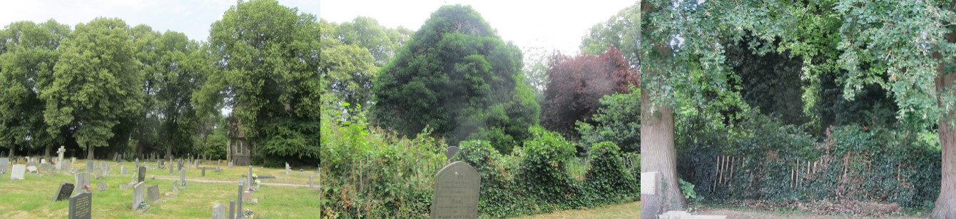 Glenfield, St. Peters Church