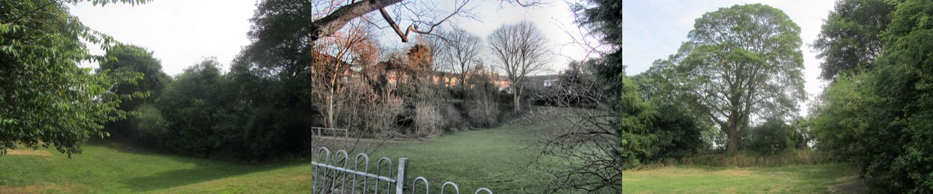 Glenfield, Station Park