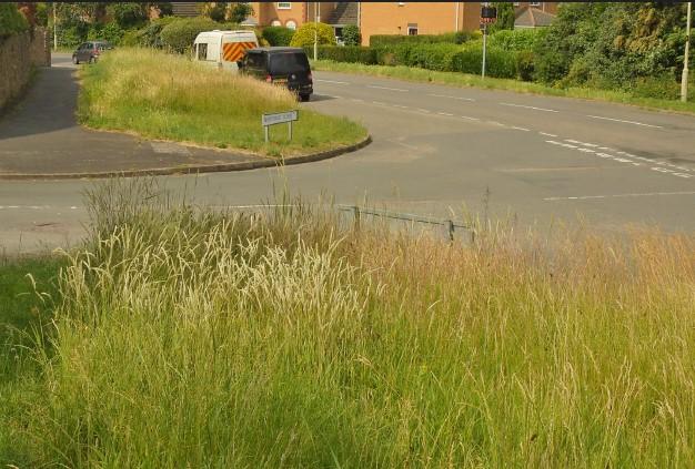 Quorn verge Northage Close